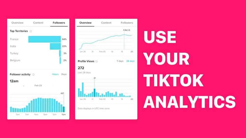 TikTok Analytics: Understanding The Social Metrics